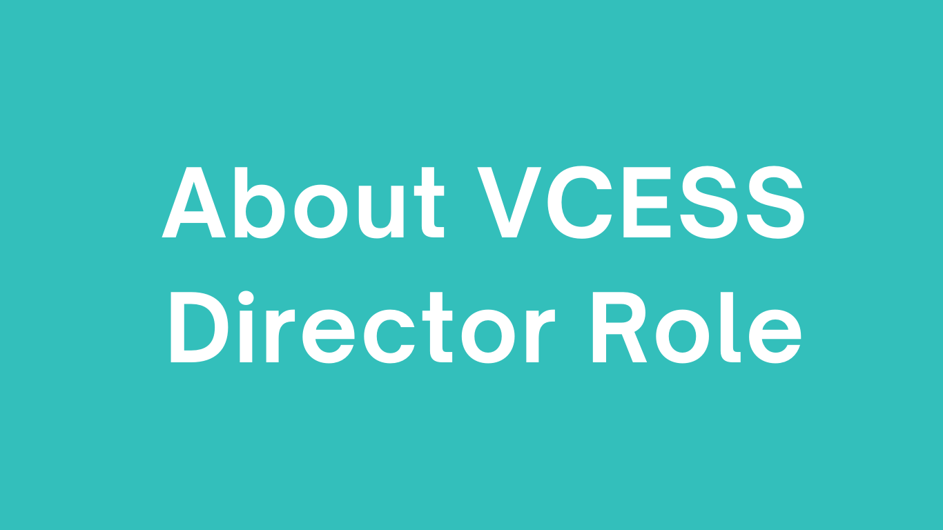 White text on teal background says: About VCESS Director Role.
