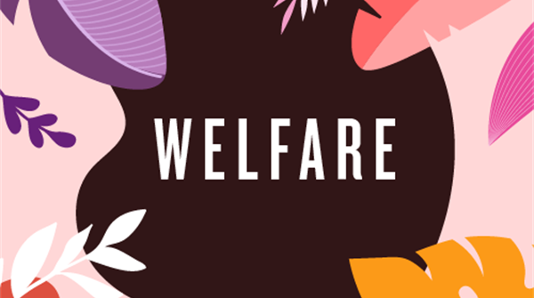 Album cover - Welfare